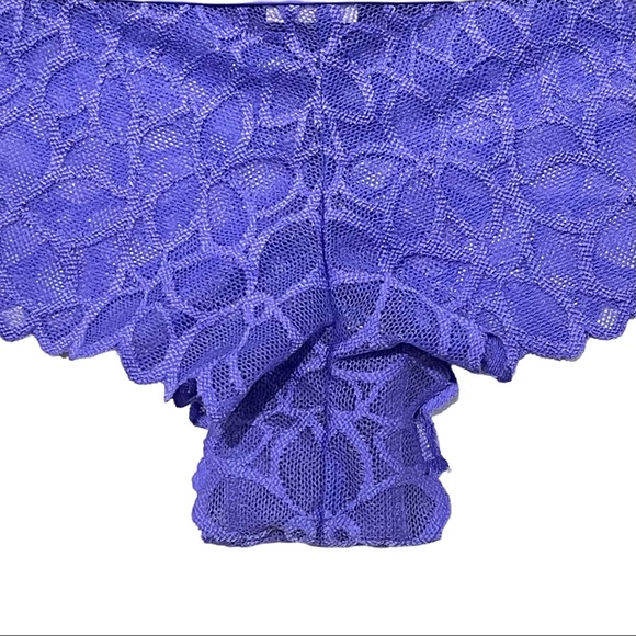 VS PINK 2016 Vintage Extra Low Rise Cheekster Semi-sheer Mesh Floral Print Panty - Picture 4 of 16